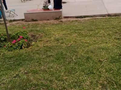 Casa con 3 departamentos en Remate